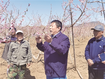 盛鹏配资 劳模风采·全国劳动模范｜宫成：带桃农走上乡村振兴路