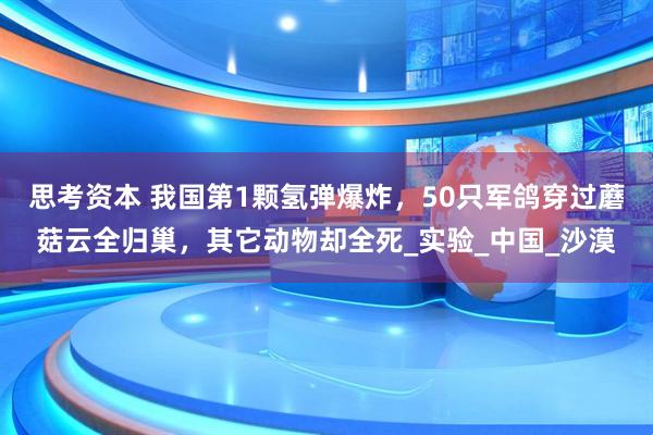 思考资本 我国第1颗氢弹爆炸，50只军鸽穿过蘑菇云全归巢，其它动物却全死_实验_中国_沙漠