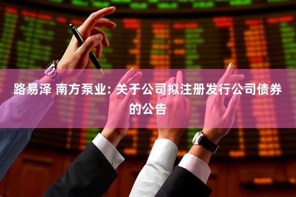 路易泽 南方泵业: 关于公司拟注册发行公司债券的公告