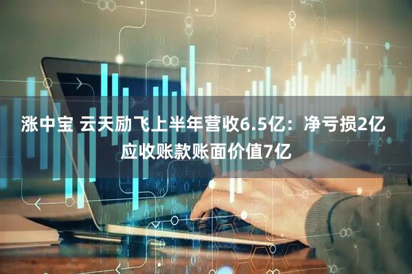 涨中宝 云天励飞上半年营收6.5亿：净亏损2亿 应收账款账面价值7亿