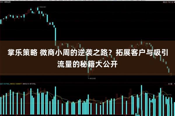 掌乐策略 微商小周的逆袭之路？拓展客户与吸引流量的秘籍大公开